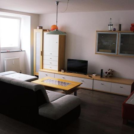 Full Flat 3 Bedrooms Saarbrucken Center -11 People Esterno foto